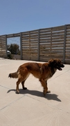 ATENEA Imagen 6